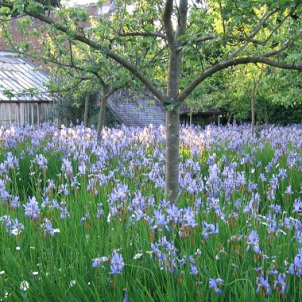 Bryan's Ground Gardens
