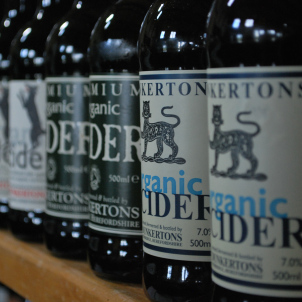 Dunkerton's Cider, near pembridge