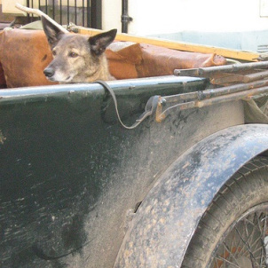 Vintage Car